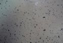 BLAT-PT-MASA-750-STARDUST-CREM-4101-38mm