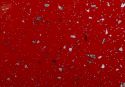 BLAT-PT-MASA-750-STARDUST-ROSU-4104-38mm