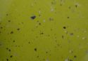 BLAT-600-STARDUST-VERDE-4107LU-38mm