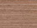 F-C--FINO-BRONCE-F583