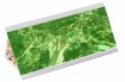 SIPCA-APA-LARISSA-VERDE